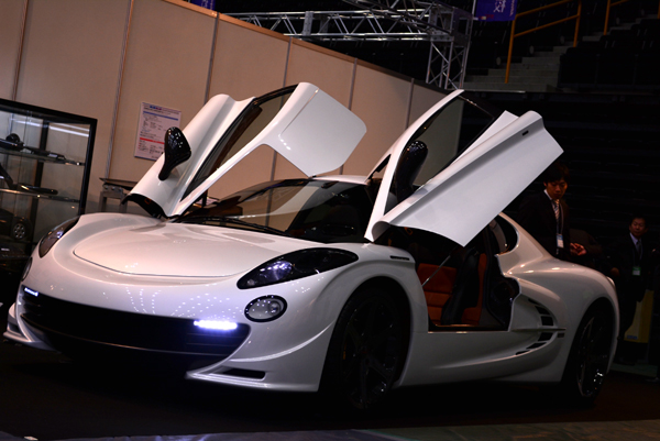 130131 02 DSC_0623.jpg